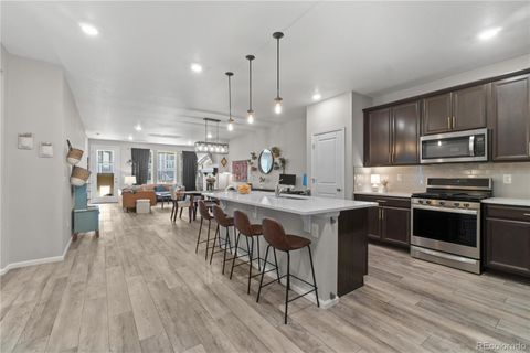 4078 Happy Hollow Drive Castle Rock Co 80104