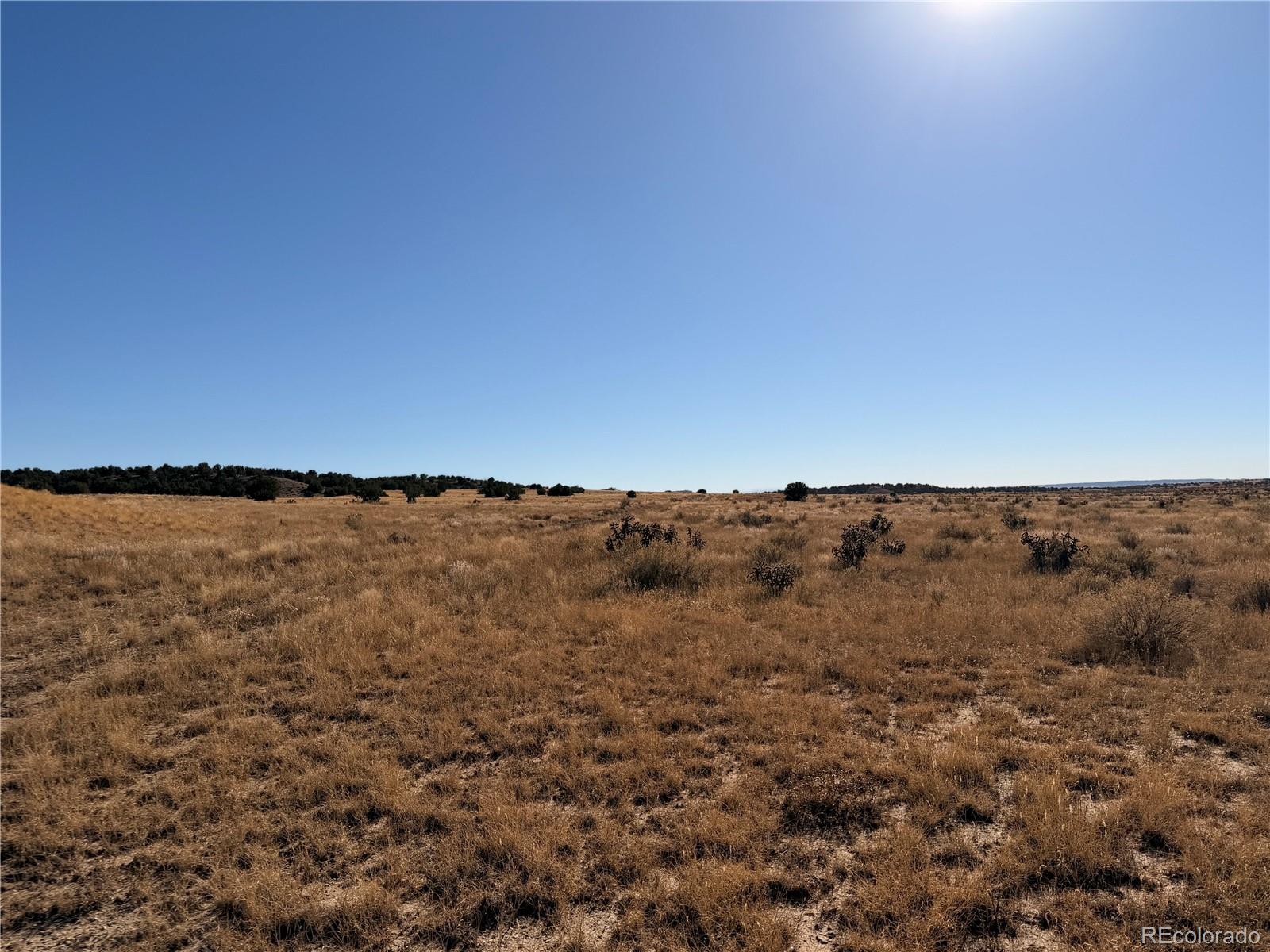 Lot 316 Longhorn Ranch