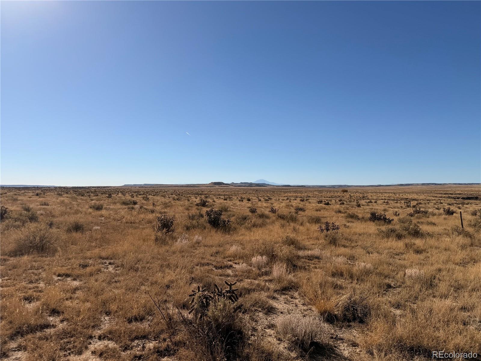 Lot 316 Longhorn Ranch