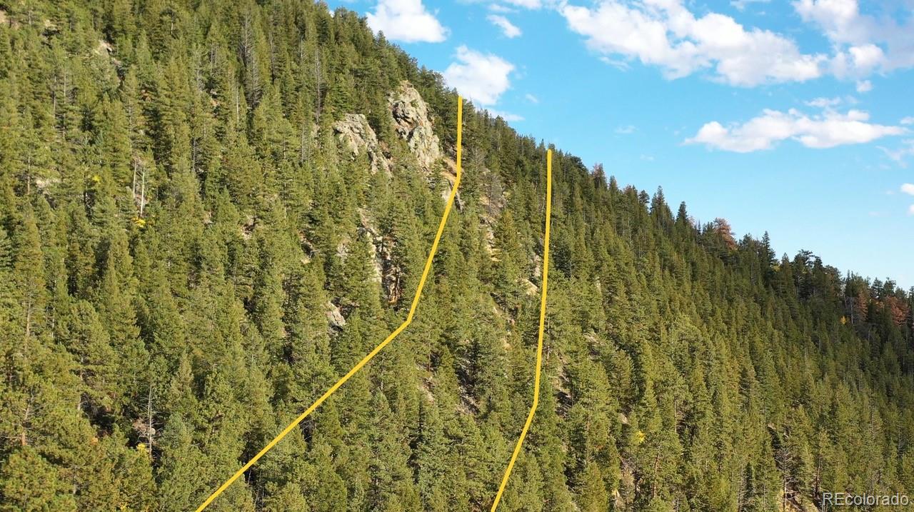 111 Bellevue Mountain Drive