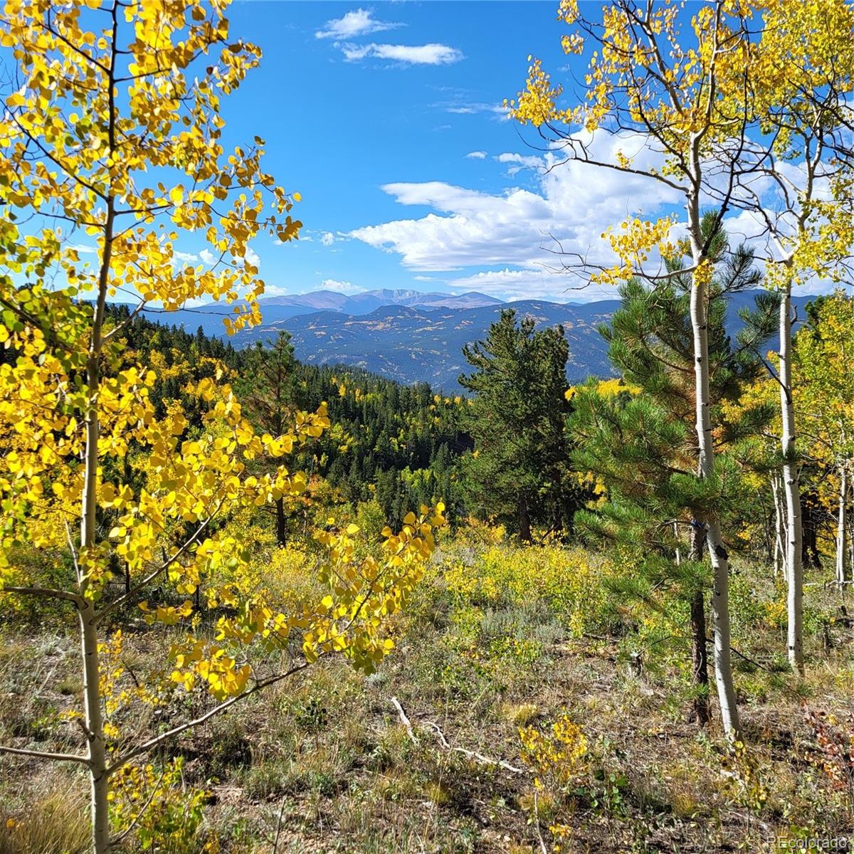 0 Bald Mountain and York Gulch Roads