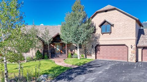 30055 County Road 361 Buena Vista CO 81211