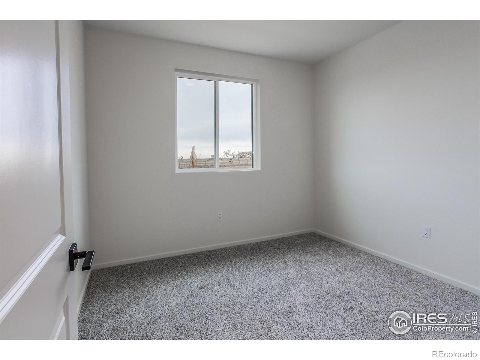 776 Galloway Drive, Johnstown, CO, 80534 3 776 Galloway Drive