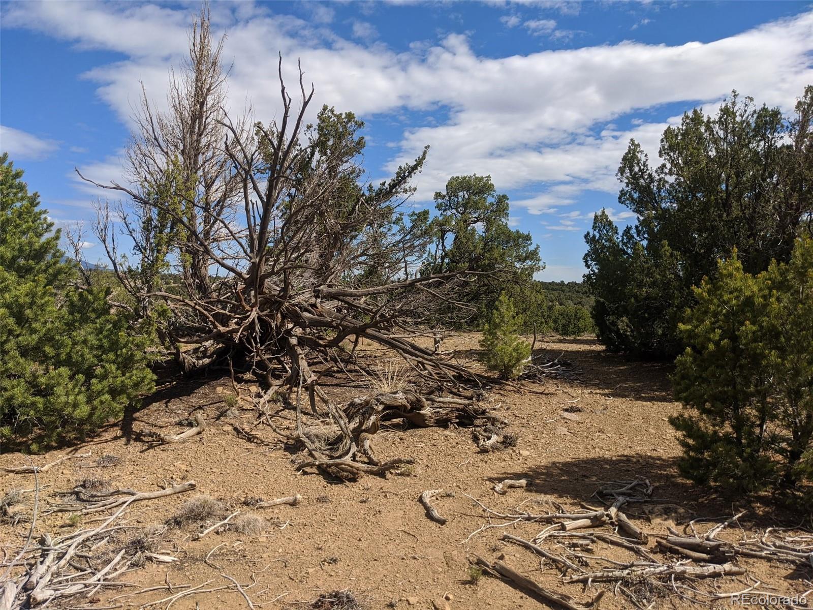 623 Cello Azui Drive