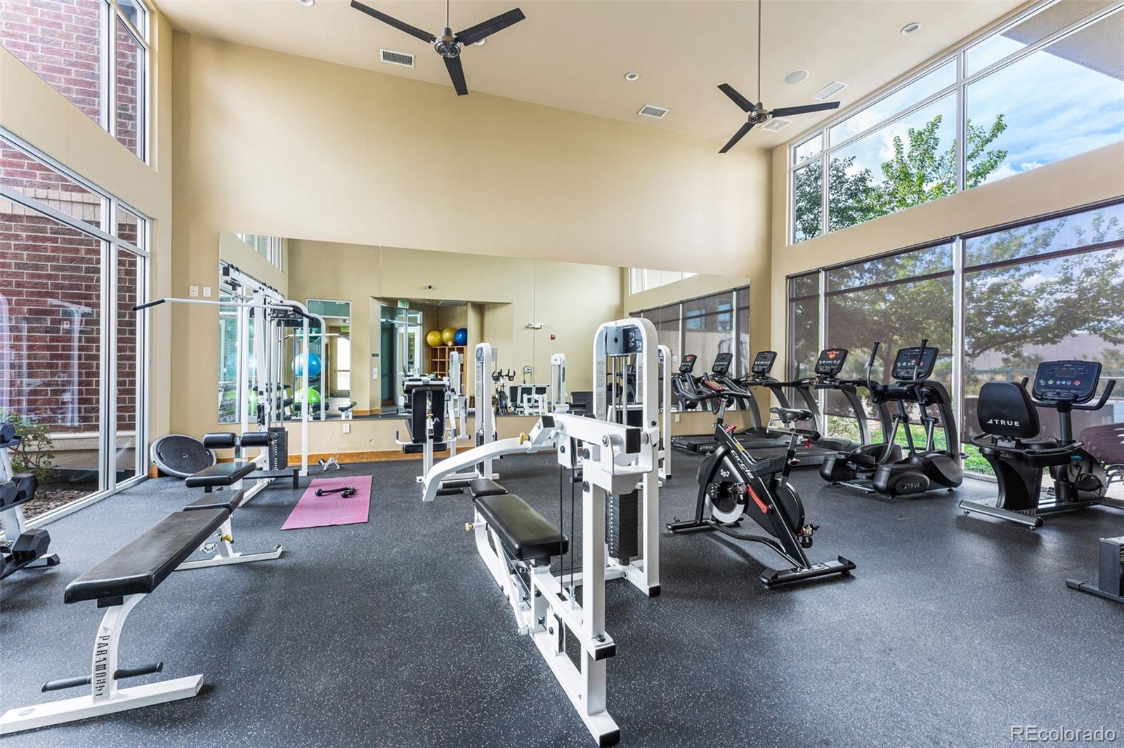 Fitness Gallery in Lone Tree, CO, Park Meadows