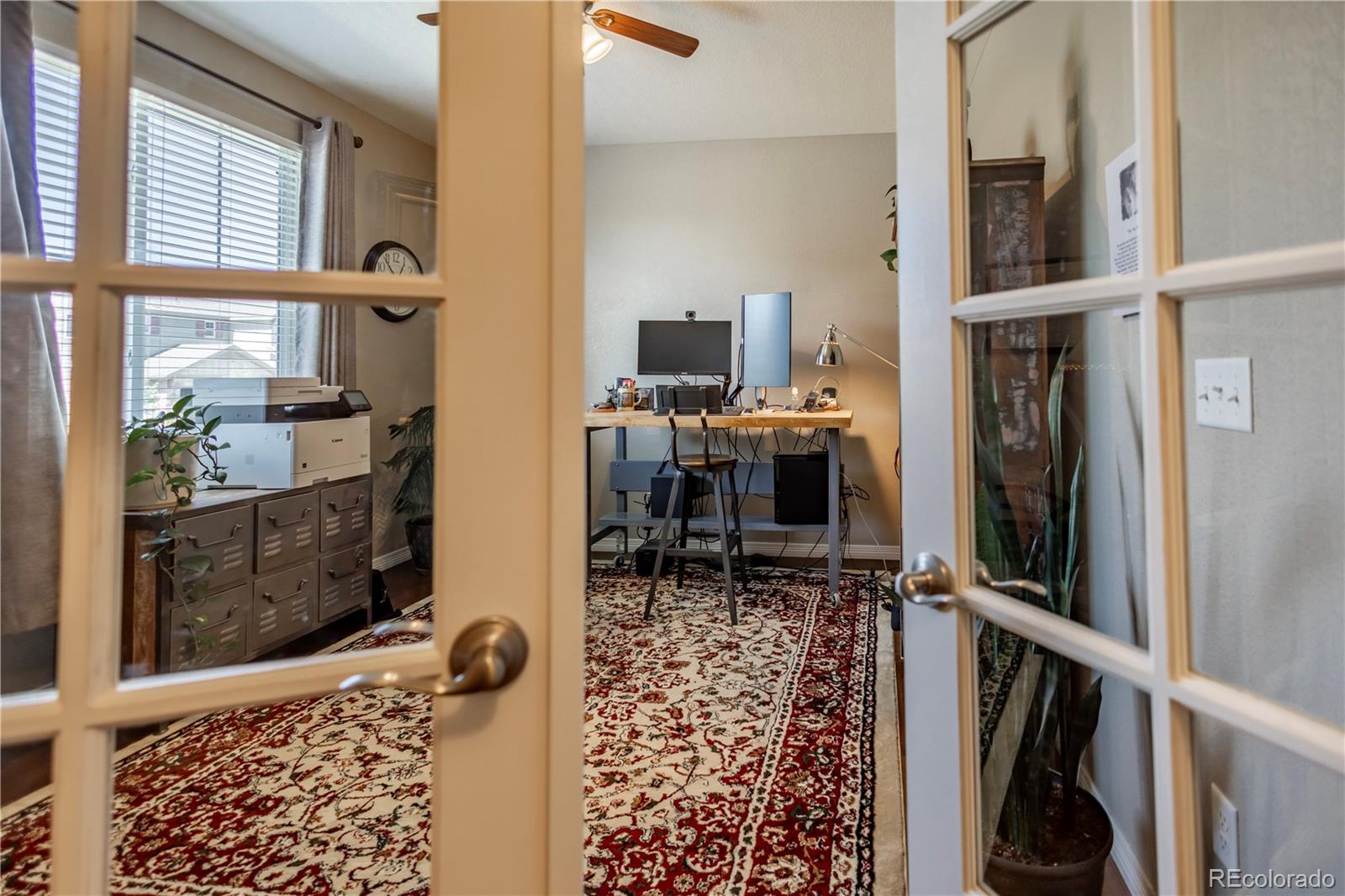 13060 Norway Maple Street