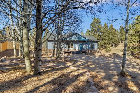 237 Columbine Drive Woodland Park CO 80863