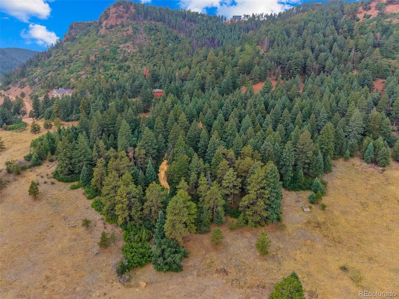 13665 Woodmoor West Drive