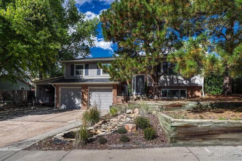 419 Johnson Drive Castle Rock CO 80104