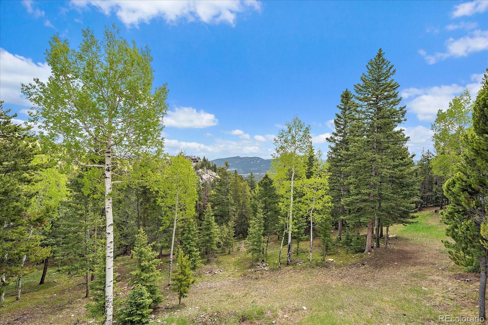 11222 Conifer Mountain Road