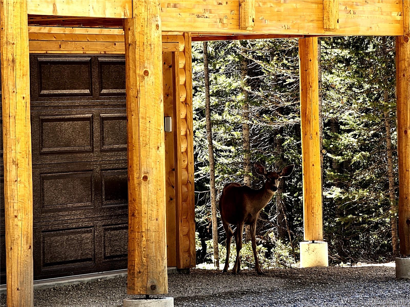 228 Gold Trail