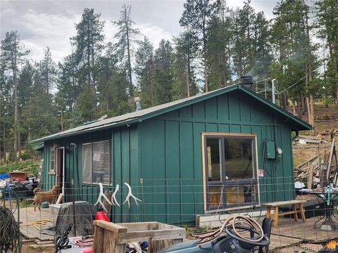 7041 Brook Forest Drive Evergreen CO 80439