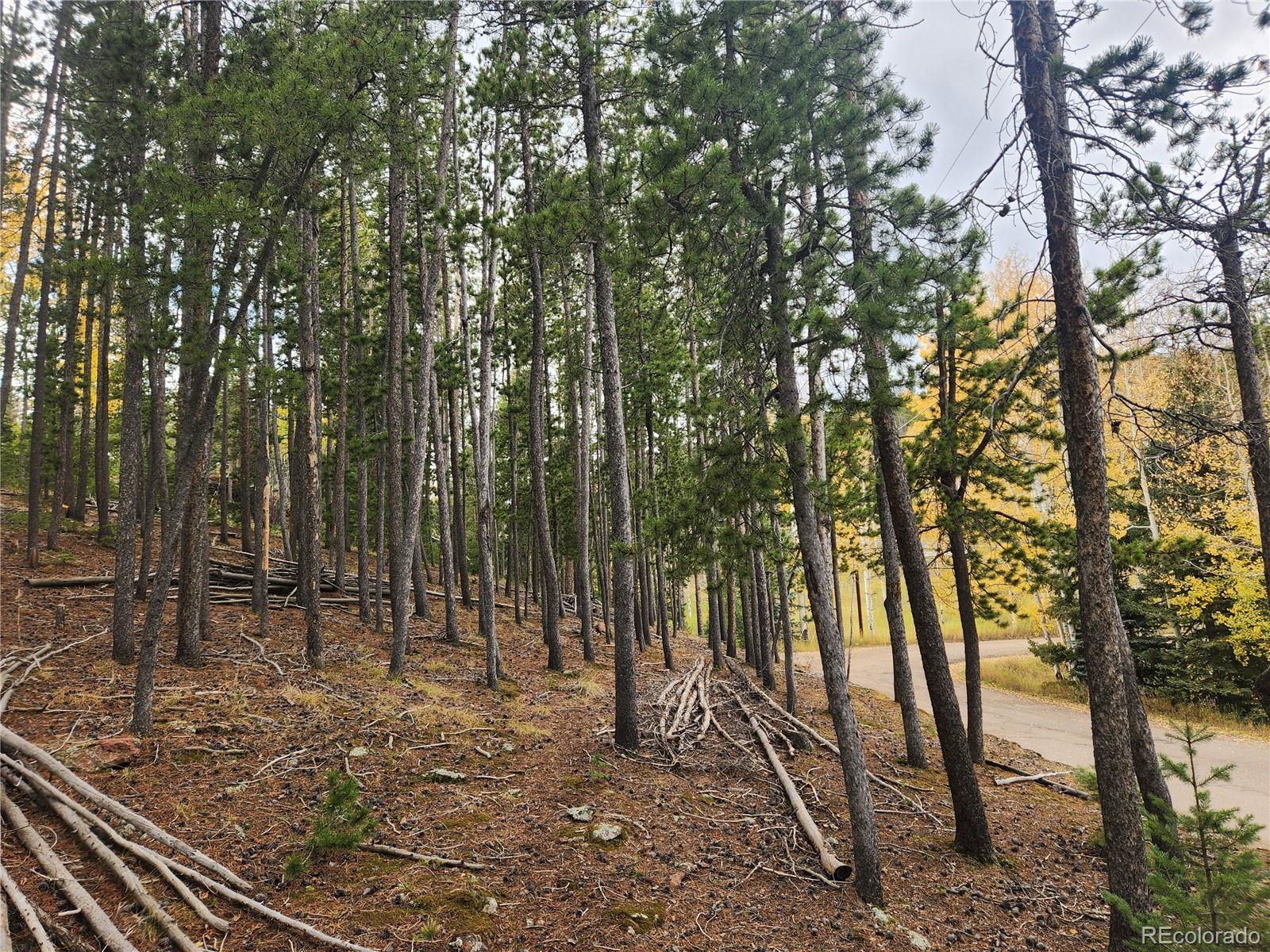 7041 Brook Forest Drive