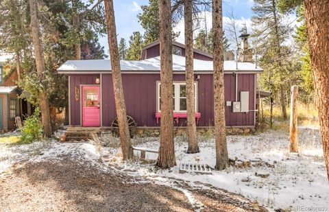 590 W Pine Street Nederland CO 80466