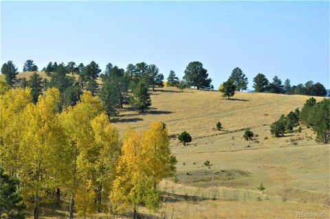 County Rd 86, Victor, CO 80860 - #: 2716732