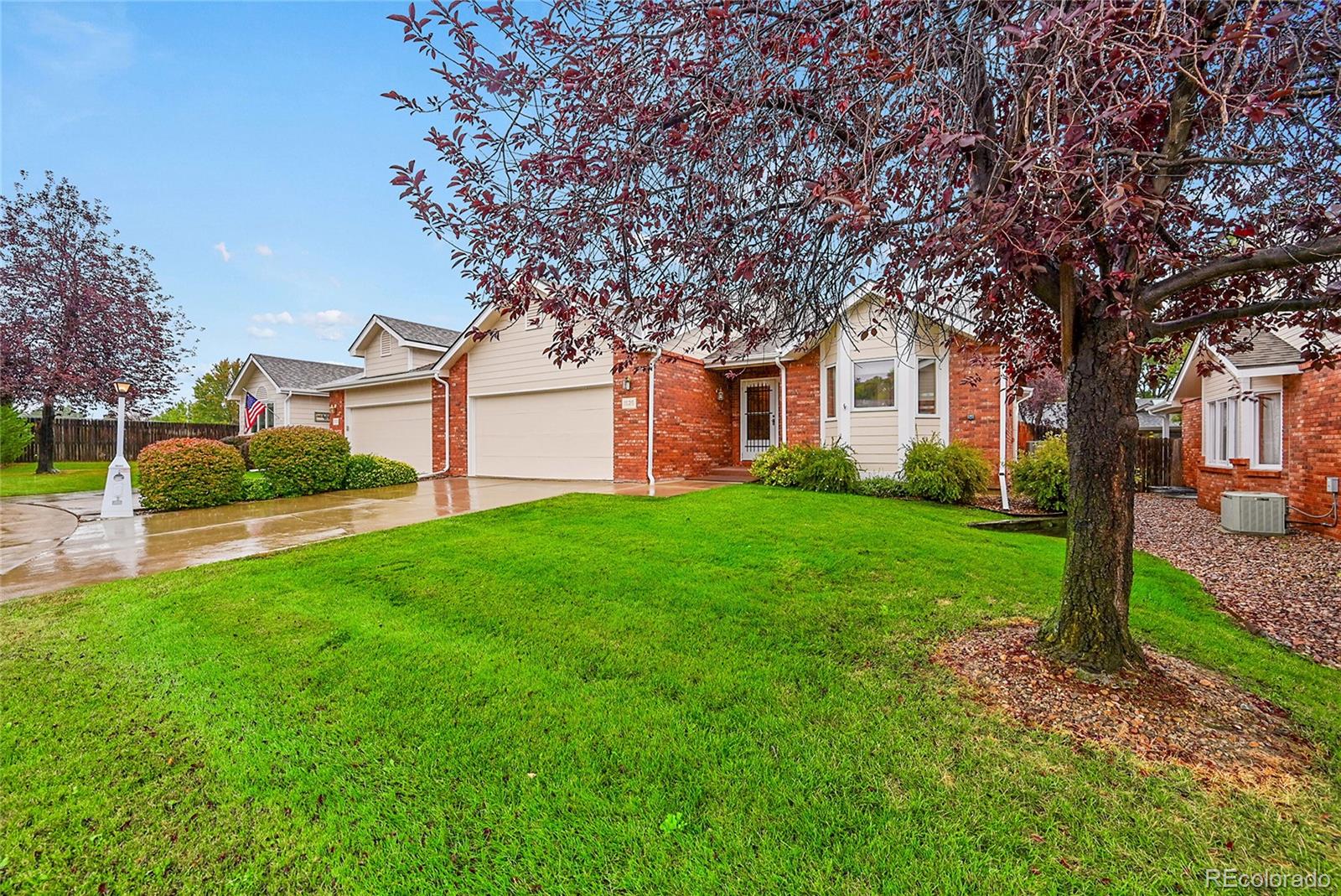 1626 Tulip Court, Longmont, CO, 80501 1 1626 Tulip Court