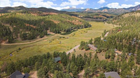 13340 S Cedar Circle Pine CO 80470