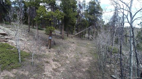 Unimproved Land in Golden CO 900 Rudi Lane 12.jpg