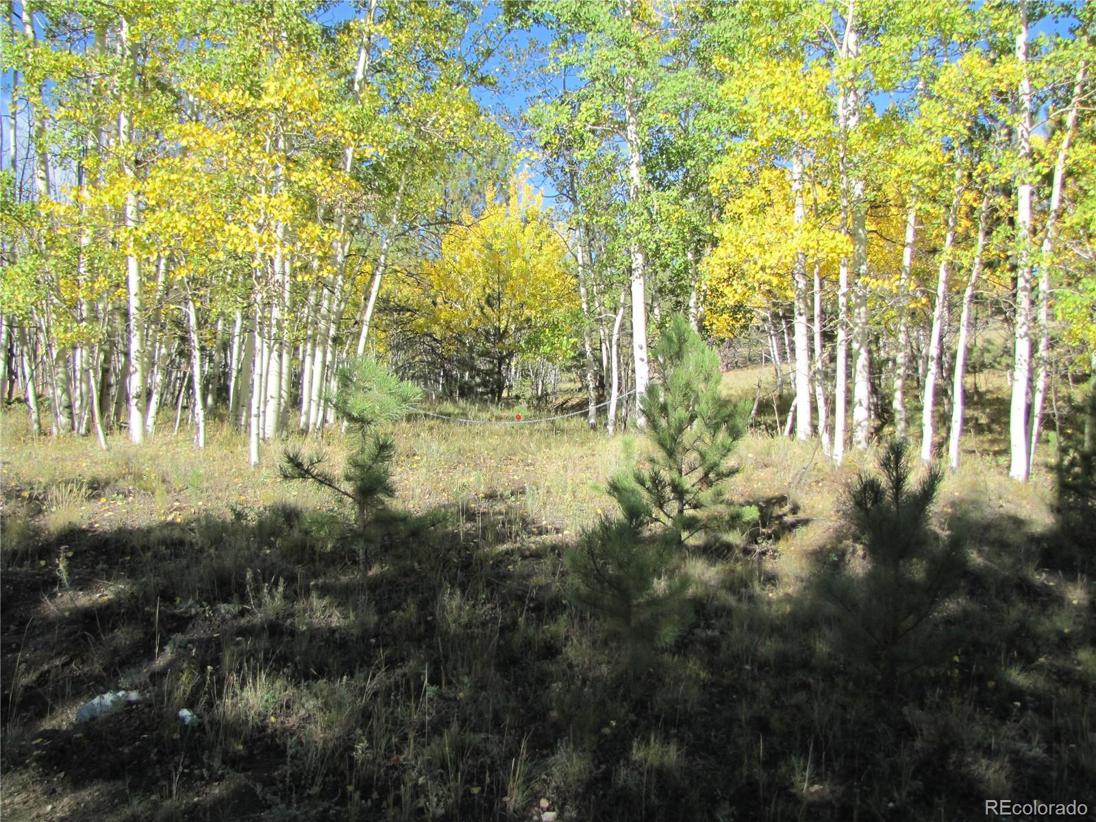 Lot 700 Campfire Road