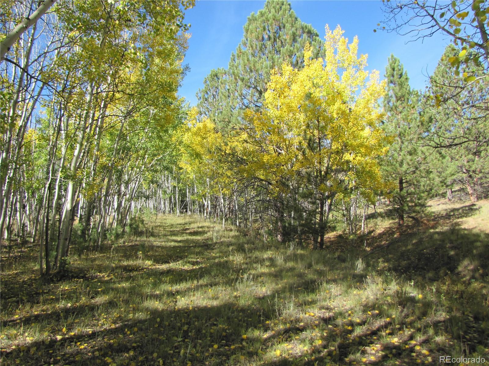 Lot 700 Campfire Road