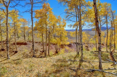 Unimproved Land in Fairplay CO 788 Meier Ridge Trail 14.jpg