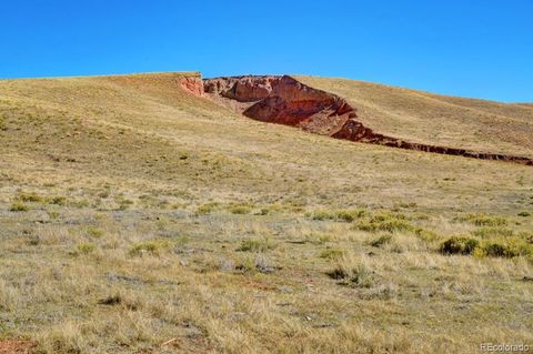 Unimproved Land in Fairplay CO 788 Meier Ridge Trail 21.jpg