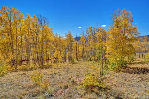 Unimproved Land in Fairplay CO 788 Meier Ridge Trail 13.jpg