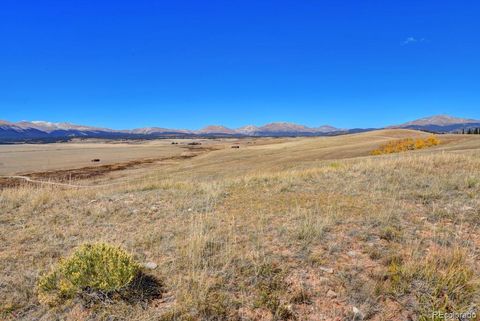 Unimproved Land in Fairplay CO 788 Meier Ridge Trail 18.jpg