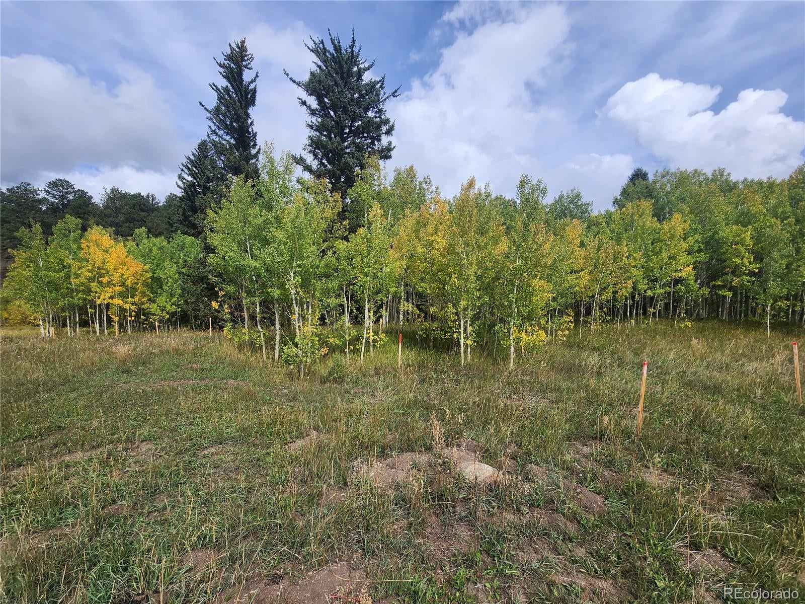 531 Caribou Road