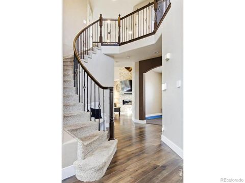 13313 Jersey Street Thornton CO 80602