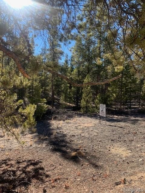 180 Peak View Drive Twin Lakes CO 81251