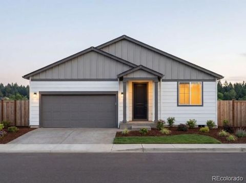 254 Barn Owl Avenue Fort Lupton CO 80621