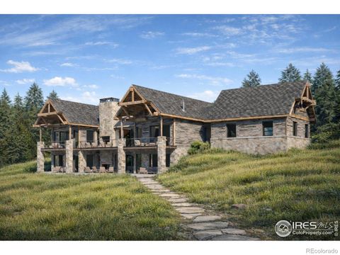 25 Ridge View Road Nederland CO 80466