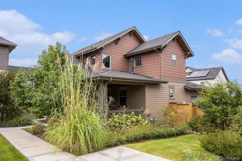 6033 Alton Street Denver CO 80238