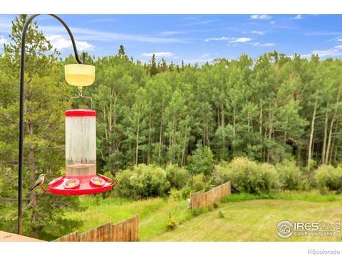 212 Glen Mawr Drive Black Hawk CO 80422