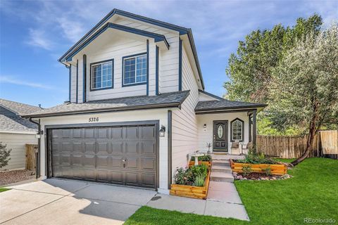 5326 E Howe Street Castle Rock Co 80104
