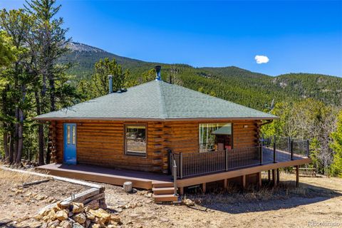 260 Pine Drive Idaho Springs CO 80452
