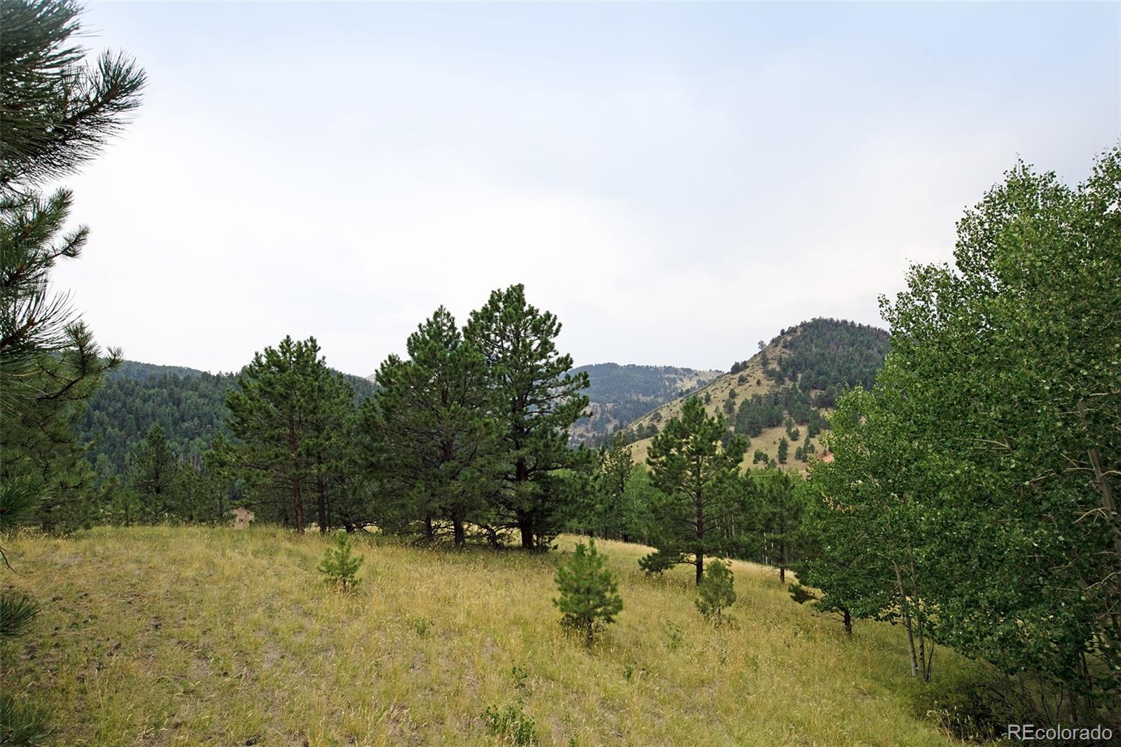 726 Copper Mountain Drive