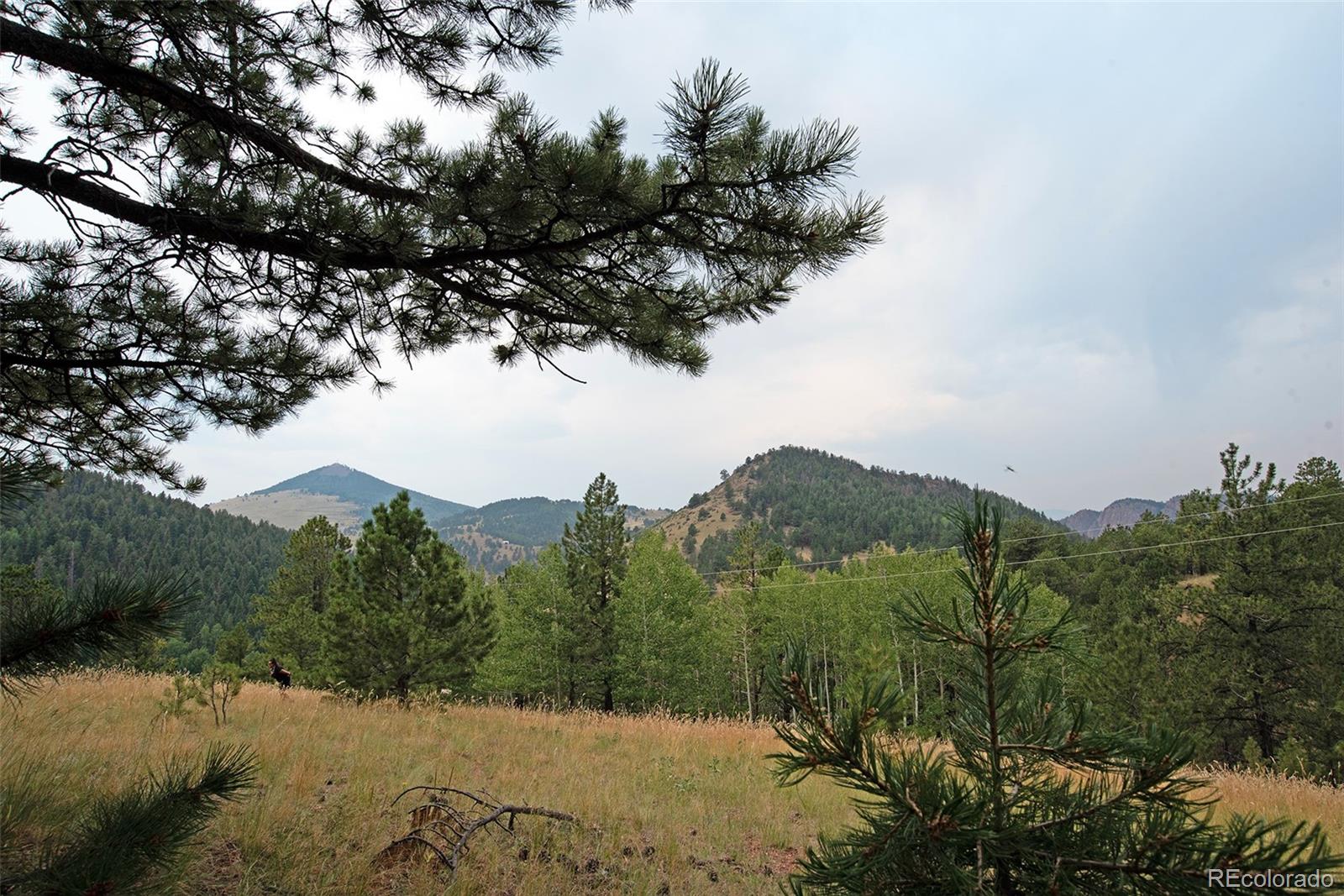 726 Copper Mountain Drive