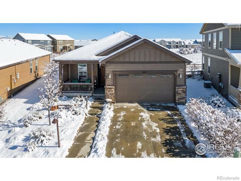 Photo of 3011 Pawnee Creek Drive, Loveland, CO 80538 (MLS # IR1049846)
