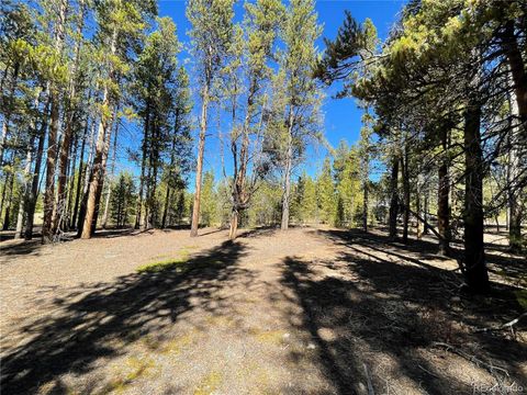 300 Virginia Avenue Leadville CO 80461