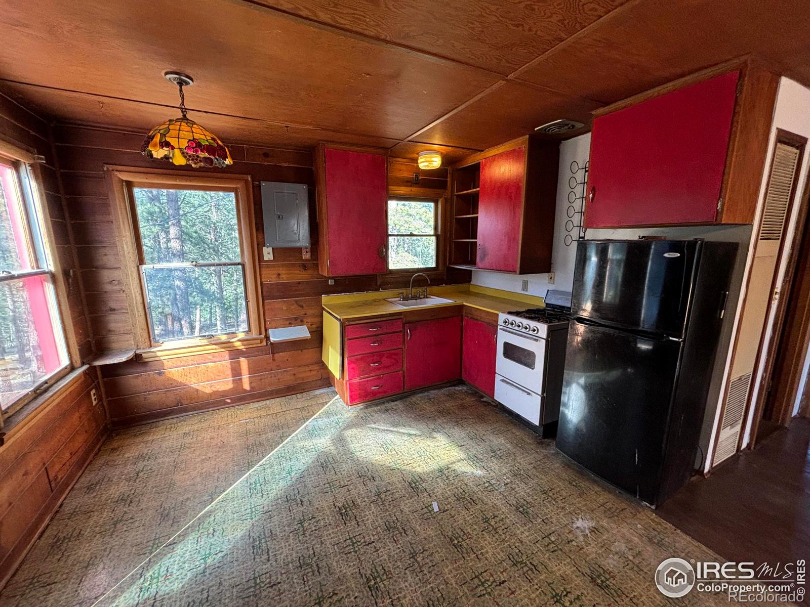 264 Harris Street, Bailey, CO, 80421 4 264 Harris Street