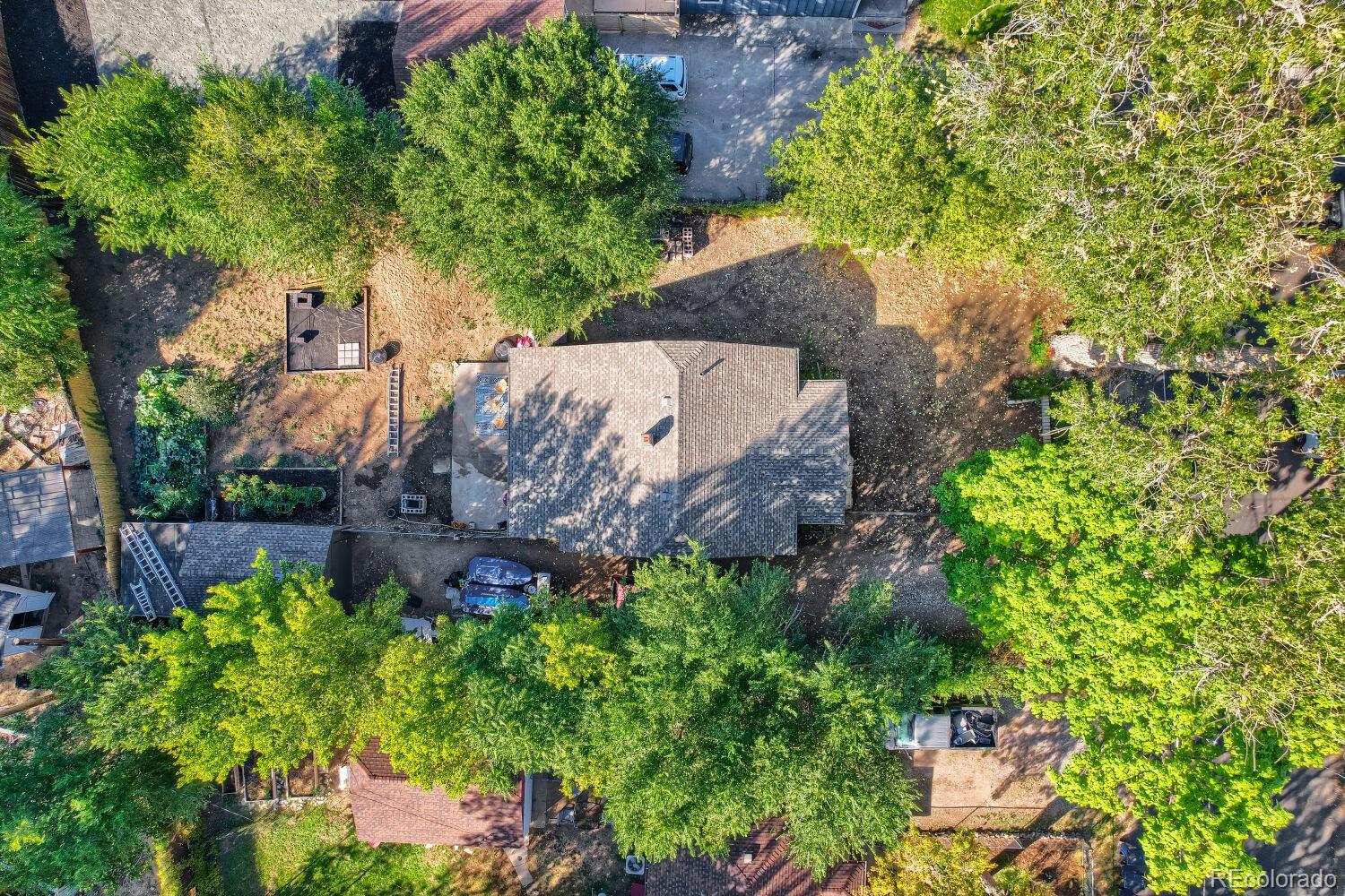 5341 Primrose Lane