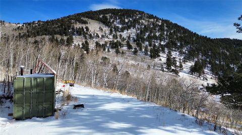 Unimproved Land in Idaho Springs CO 112 Mule Deer Trail 4.jpg