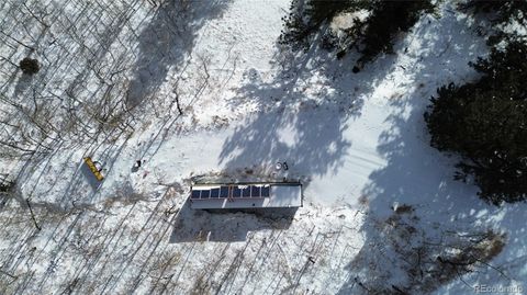 Unimproved Land in Idaho Springs CO 112 Mule Deer Trail 5.jpg