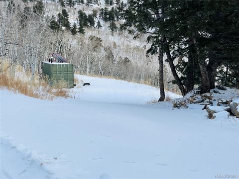 Unimproved Land in Idaho Springs CO 112 Mule Deer Trail 9.jpg