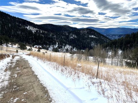 Unimproved Land in Idaho Springs CO 112 Mule Deer Trail 20.jpg