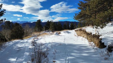 Unimproved Land in Idaho Springs CO 112 Mule Deer Trail 11.jpg