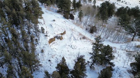 Unimproved Land in Idaho Springs CO 112 Mule Deer Trail 13.jpg