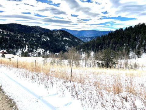 Unimproved Land in Idaho Springs CO 112 Mule Deer Trail 18.jpg